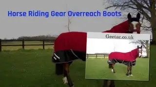 Horse Riding Gear Overreach Boots | geetac