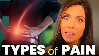 Pain Management: Acute vs. Chronic Pain and the Role of Inflammation
