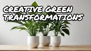 Transform Your Space with Creative Plant Decor!