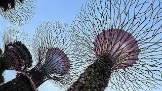 Travel with Bipolar Disorder * Singapore