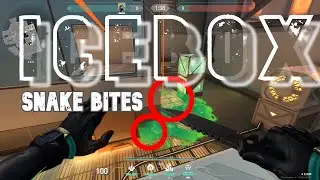 Viper Post-Plant SNAKE BITE STALLS on ICEBOX | BEST video to learn INSANE lineups for NEW map