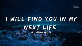 Sia ft. Damian Marley &ndash; I Will Find You in My Next Life (Official Lyrics Video 2025)