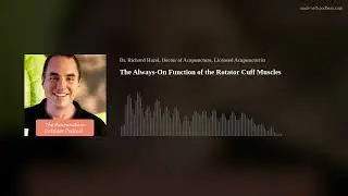 Постоянно активная функция мышц вращательной манжеты плеча обсуждается недостаточно часто.