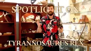 Spotlight On: Tyrannosaurus Rex