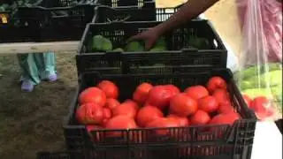 Medilodge Employee Appreciation Day with Northern Farm Market