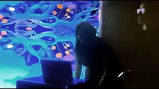 Plaid - Full Set Live @ The Lodge Room, Los Angeles - 1/19/24