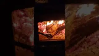 Review of Drolet Escape 1800 woodstove