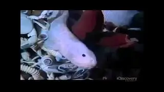 Mapping The Ocean Floor(full documentary)