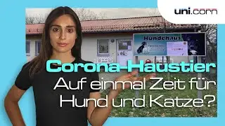 Haustier-Boom in der Pandemie | uni.corn kommentiert
