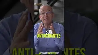 UVAS ROJAS O UVAS MORADAS CUAL DEBEMOS DE COMER ? - Oswaldo Restrepo RSC #shorts