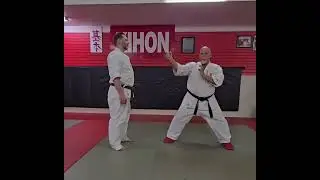 SEIUNCHIN BUNKAI...Uppercut, Backfist, DownBlock