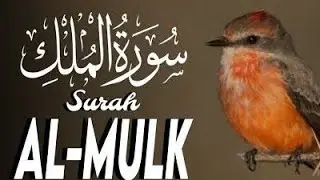 Surah Al-Mulk | Surah Tabarak | Protection from Grave Punishment | Beautiful Recitation