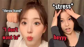 Haewon was about to throw hands because of NSWER comments (ft. Stress Kyujin)