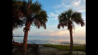 Shired Island, Florida Great beach to explore