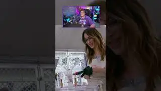 Damian esta Gaga 🤣 - Bake Off #boffegp #clips #stream #boffe #chiste #reality #bakeoff