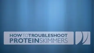 Troubleshooting Protein Skimmers