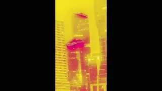 Thrillseeker