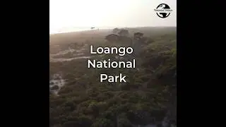 Loango National Park