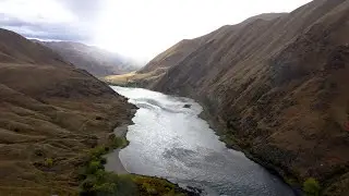 The Salmon People