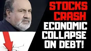 Stock Market Crash And Economic Collapse Ahead - Explaining Taleb's Views and Investing