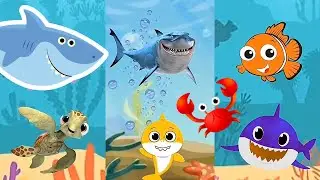 Baby Shark: С Новым годом! | Животные: Морской дельфин, осьминог, разные цвета, рыбы | Танцевальн...