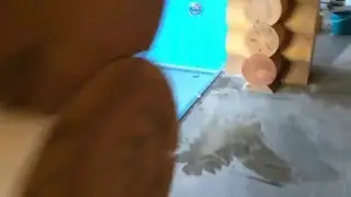 Декор бассейна 3d. INDIVIDUAL-DESIGN.RU