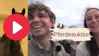 Pferdeauktion | Wir ersteigern ein Pferd ?! Neues Projekt STEP ONE