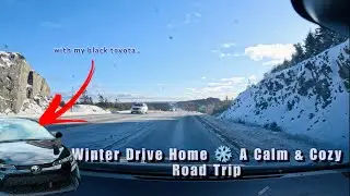 Peaceful Winter Drive | Snowy Road Trip in Newfoundland