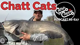 Chatt Cats - Joe Jellison - Fishing Podcast s2 - e27