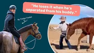 Dealing with SEPARATION anxiety? 😰 | Problem Horses Explained | S1E5