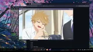Watching Anime as a Linux User be like:
