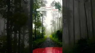 Weekend Getaway From Bangalore | Trips Near Bangalore | Hill Station Near Bangalore | Chikkamagaluru