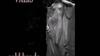 VALIS - cold hands