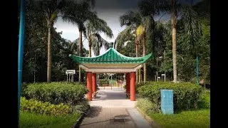 Wan Chai Gap Park, Hong Kong