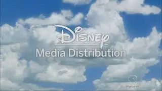 Disney Media Distribution (2021)