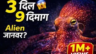 🐙 3 दिल और 9 दिमाग वाला रहस्यमयी जानवर | Octopus Intelligence Explained | Documentary