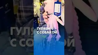 Развлечения для питомцев, корма и средства для ухода по выгодной цене &mdash;&nbsp;в &laquo;Ленте Зоомаркет&raquo;!