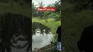 yang di tunggu