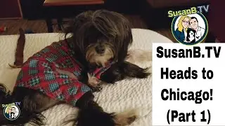 SusanB.TV Heads to Chicago, Part 1