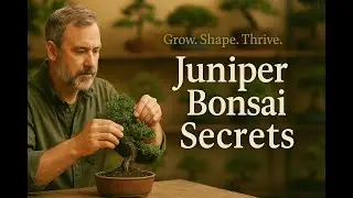 Juniper Propagation, Wiring & Winter Care with Steve