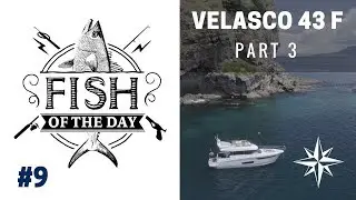 FISH OF THE DAY #9 • À bord du Velasco 43F (part.3)