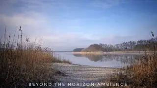 Quiet Lakeside Ambience in Brandenburg | Calm Water Sounds • 4K Nature