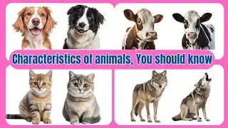 Learn about animals for your kids/Rose Sally