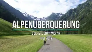 Crossing the Alps with Dog in 7 days