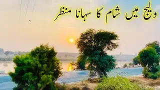 Simply Shabana Desert life Shabana Vlogs