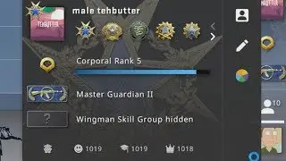 i BOUGHT 3000 commends on CS:GO... (here's what happened)
