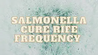 Salmonella Cure Rife Frequency with Isochronic Tone | Healing Sound Therapy