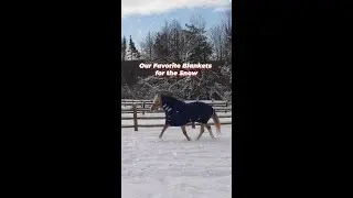 Our Favorite Turnout Blankets for the Snow