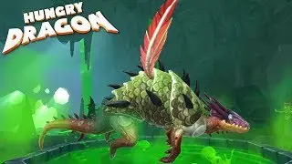 ARMORDILLO XL - NEW LEGENDARY DRAGON UPDATE  |Hungry Dragon |Ep 21
