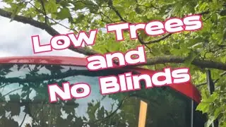 London Bus Driver Life | Ep9 | Low Trees Everywhere